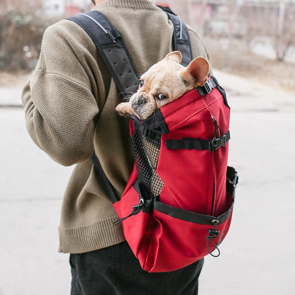 Outdoor Travel Puppy Small and Medium Dog Backpack