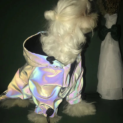 Dog Flashing Hoodie Waterproof Reflective