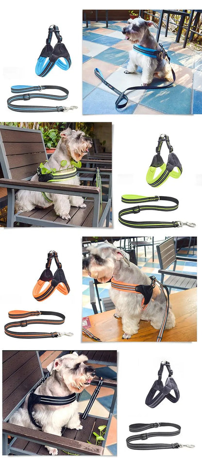 Reflective Pet Harness and Leash Set foe Small and Medium Dogs French Bulldog