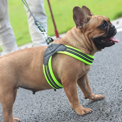 Reflective Pet Harness and Leash Set foe Small and Medium Dogs French Bulldog