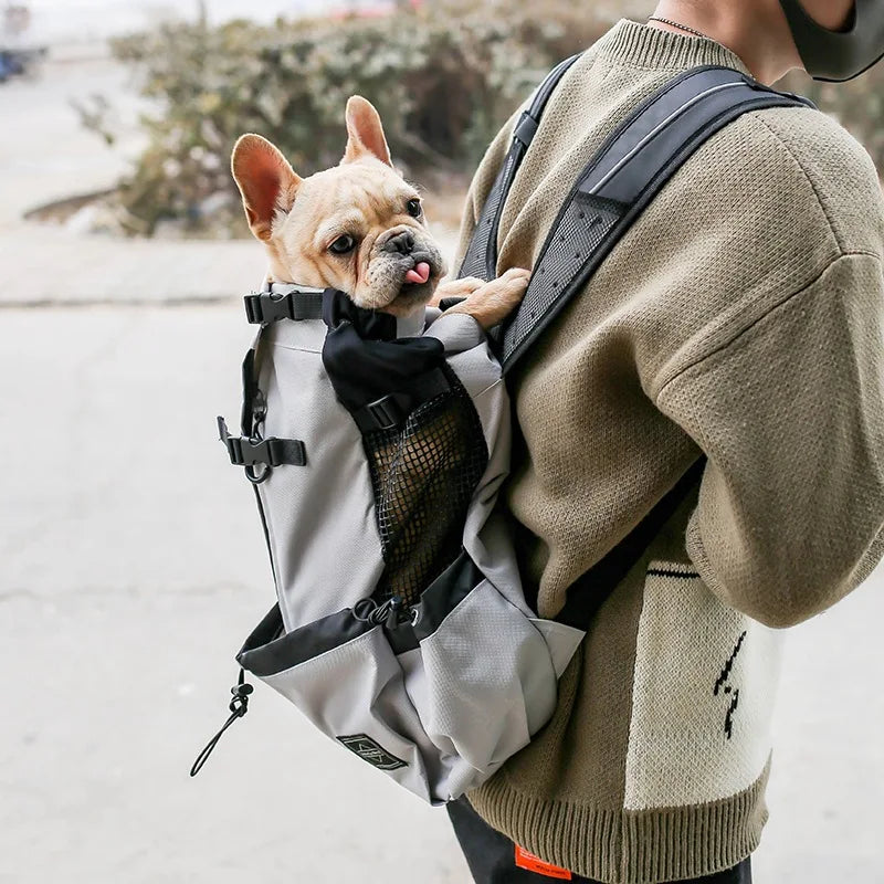 Outdoor Travel Puppy Small and Medium Dog Backpack