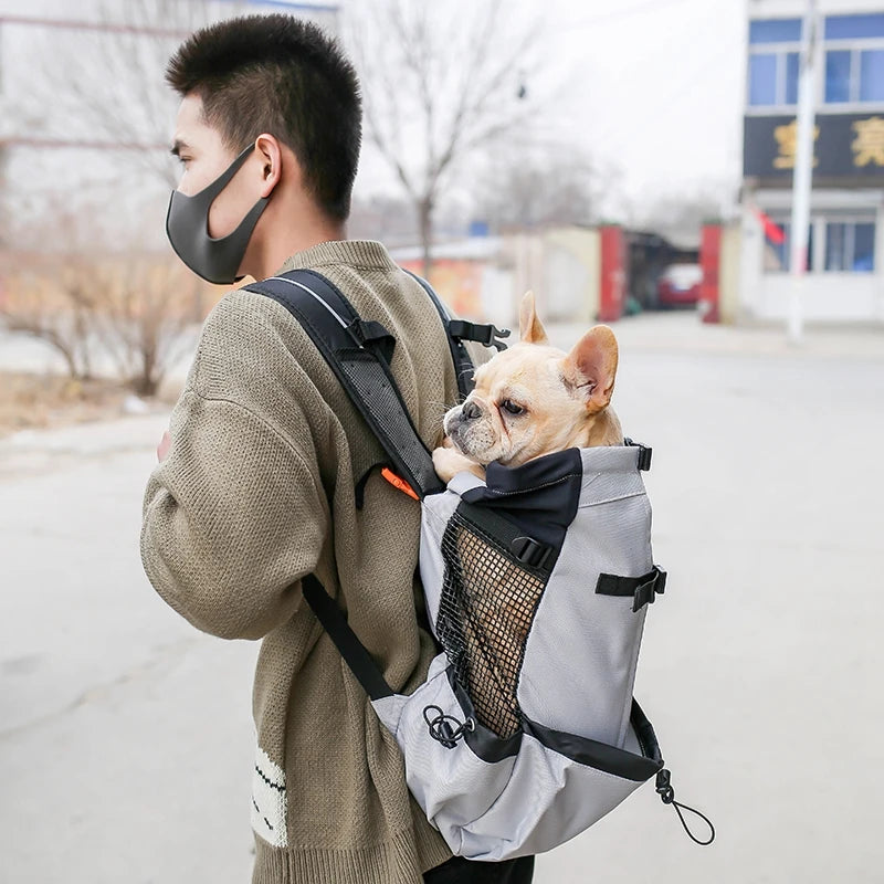 Outdoor Travel Puppy Small and Medium Dog Backpack