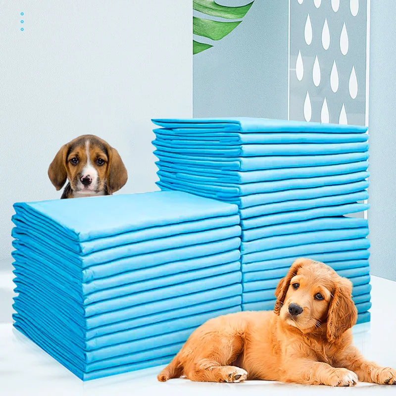 10pcs Disposable Dog Diapers Pads