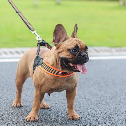 Reflective Pet Harness and Leash Set foe Small and Medium Dogs French Bulldog