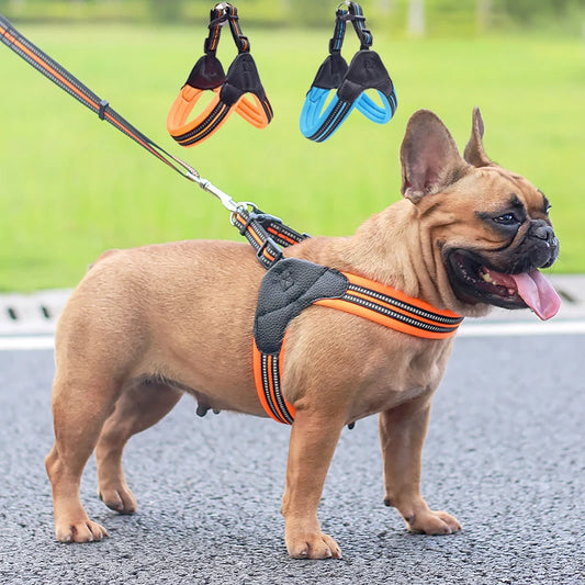 Reflective Pet Harness and Leash Set foe Small and Medium Dogs French Bulldog