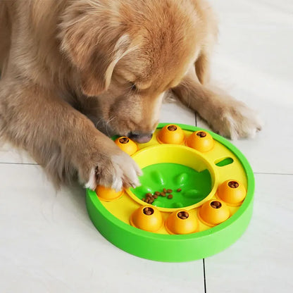 Interactive Dog Bowl