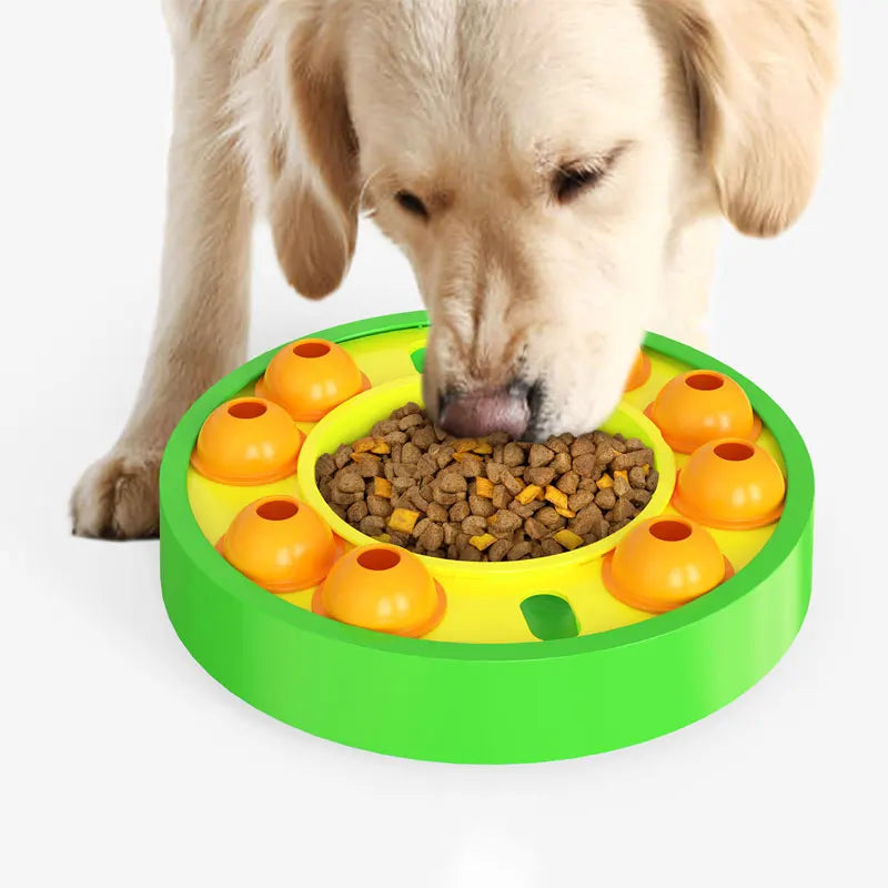 Interactive Dog Bowl