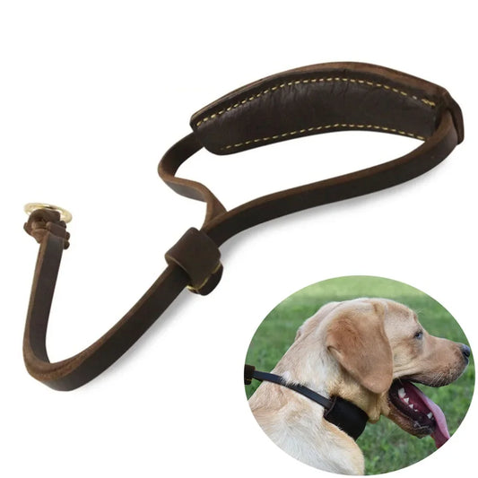 Dog Collar Soft Padded Adjustable for Medium Large Dogs