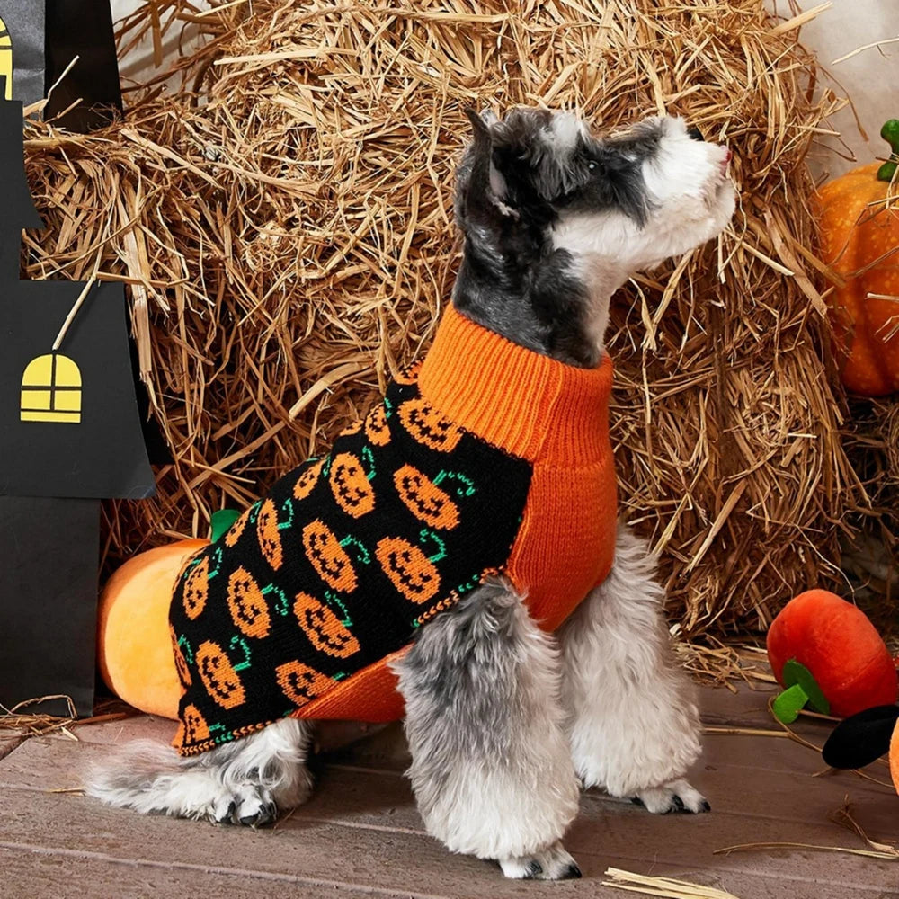 Pet Dog Knitted Warm Party Sweater "Halloween Pumpkin" for Small Medium Dogs