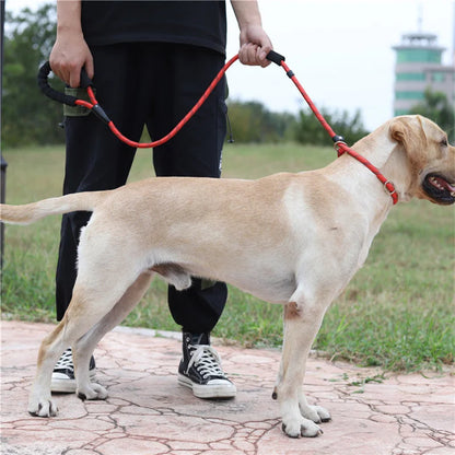 Training Padded Leash Reflective for Medium Large Dogs