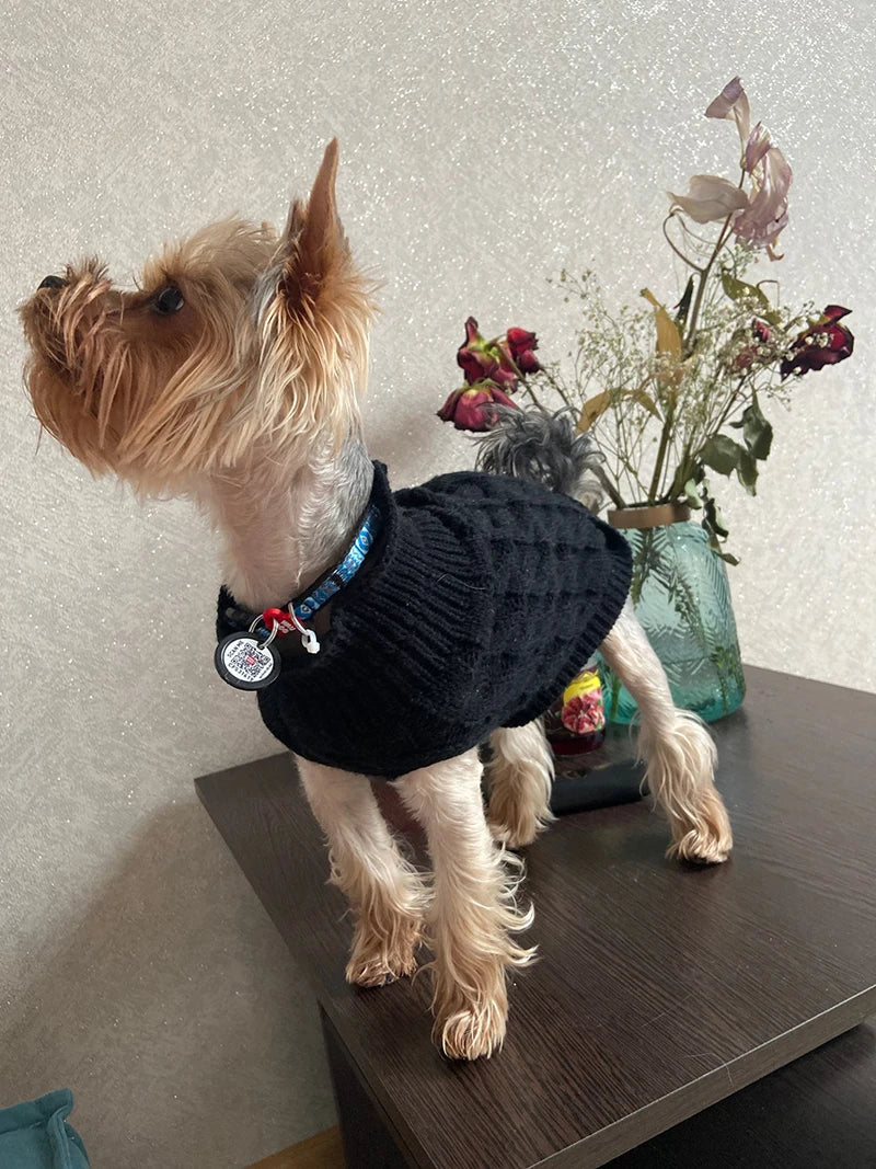 Winter Warm Pet Dog Turtleneck Knitting Sweaters for Small and Medium Dogs Cats Chihuahua Vest Coat Teddy French Bulldog Jacket