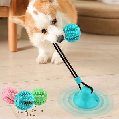 Dog Chew Ball Toys Interactive