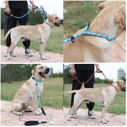 Training Padded Leash Reflective for Medium Large Dogs