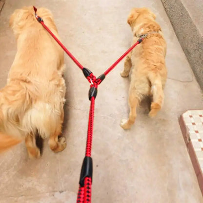 Strong Double Dog Leash