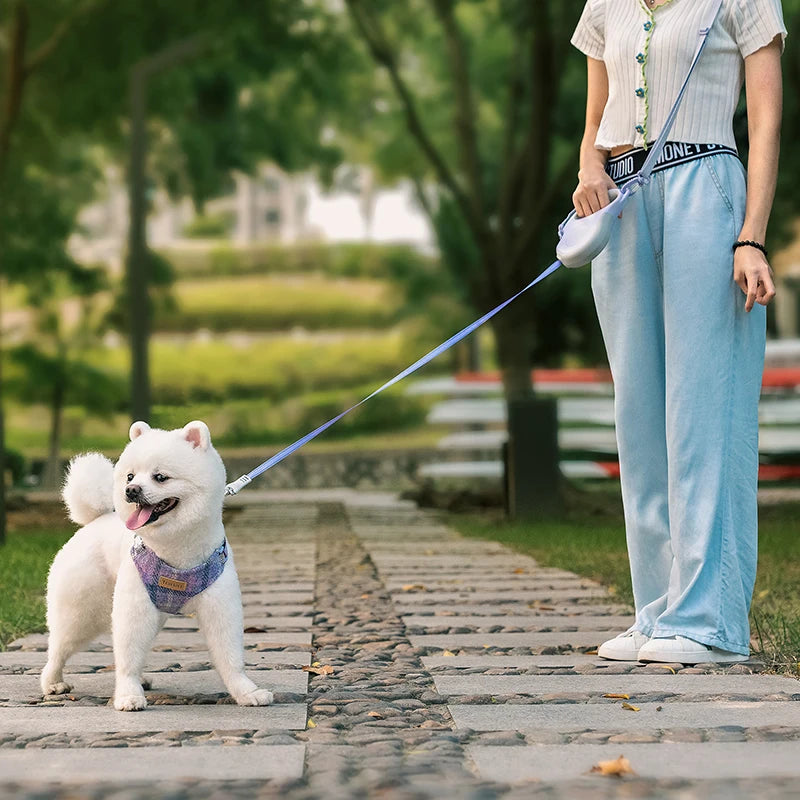 Pet Leash Retractable Unique Portable Design