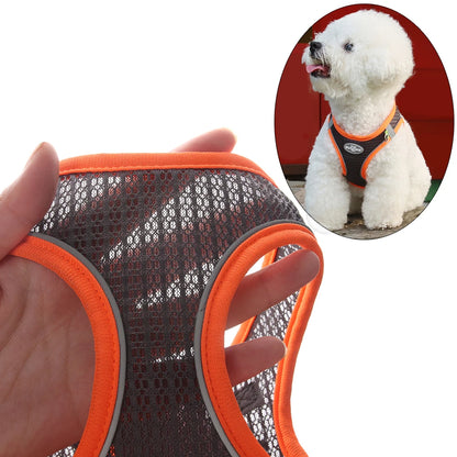 Summer "Light" Pincher Puppy Dog Vest Harness Breathable for Small Dogs