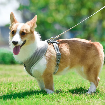 Dog Reflective Harness and Leash Sets Breathable