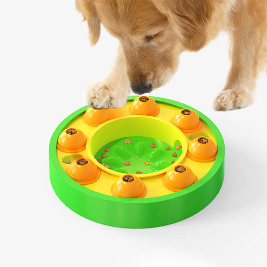 Interactive Dog Bowl