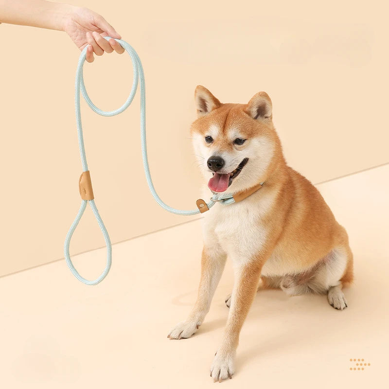 Retractable Dog Leashes