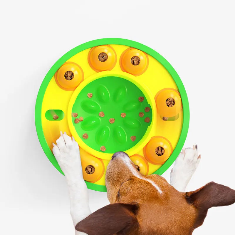 Interactive Dog Bowl