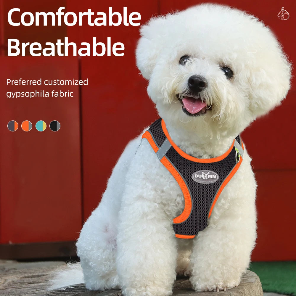 Summer "Light" Pincher Puppy Dog Vest Harness Breathable for Small Dogs