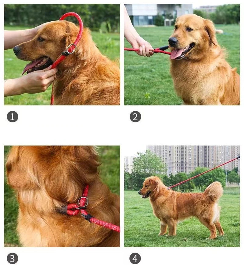 Training Padded Leash Reflective for Medium Large Dogs