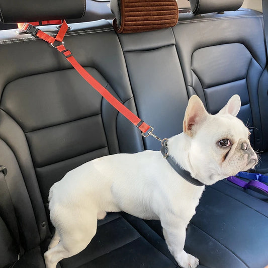 Dog pawty seat belt best sale