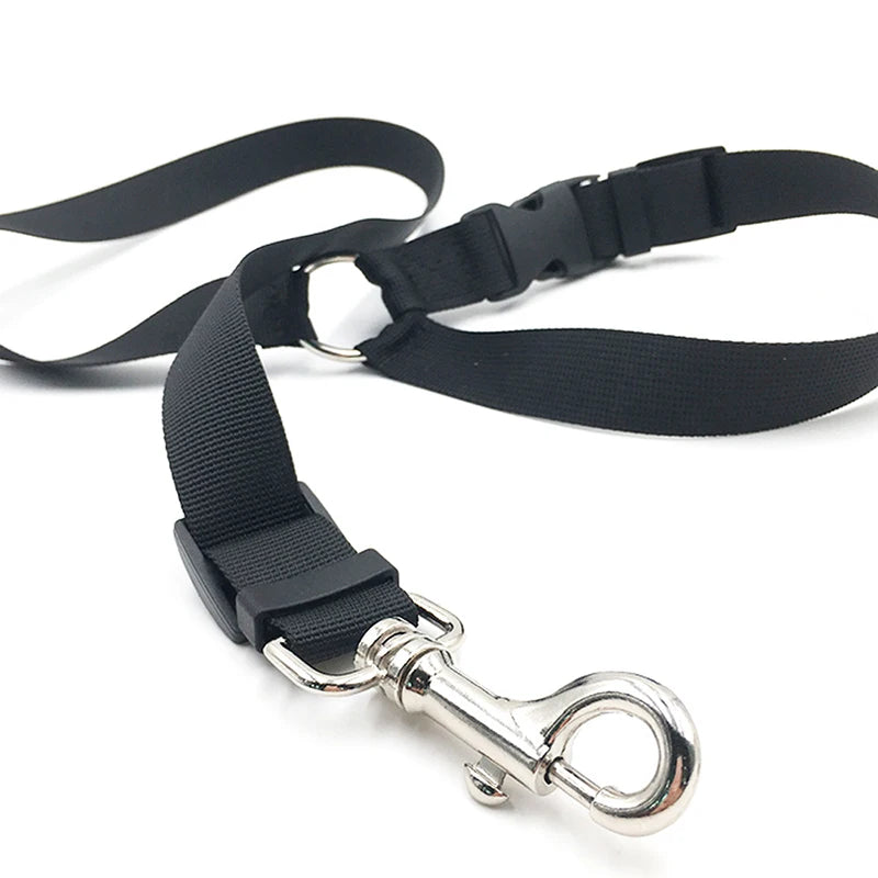 Adjustable Dog Collar Seat Belt for Puppy Medium Dog, Small dogs